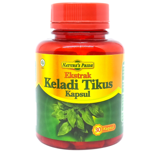 EKSTRAK KELADI TIKUS