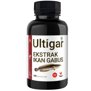 EKSTRAK IKAN GABUS